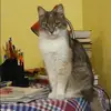 Отзыв от Ида Потапова